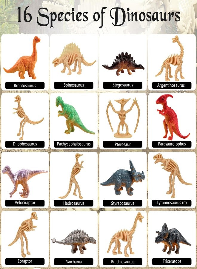 VICROIC 24 PCS Dinosaur Fossil Skeletons, Assorted Dinosaur Skeleton Figures Science Dino Sand Dig Party Favor Decorations - Image 4